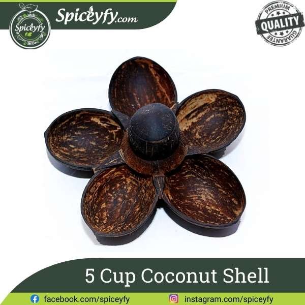 5 Cup Coconut Shell