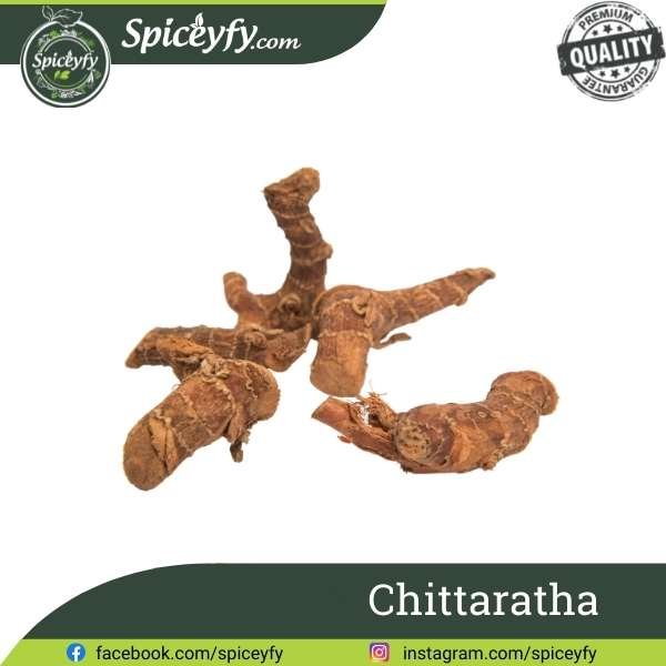 Chittaratha (Alpinia Calcarata (Galangal)