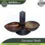 Coconut Shell