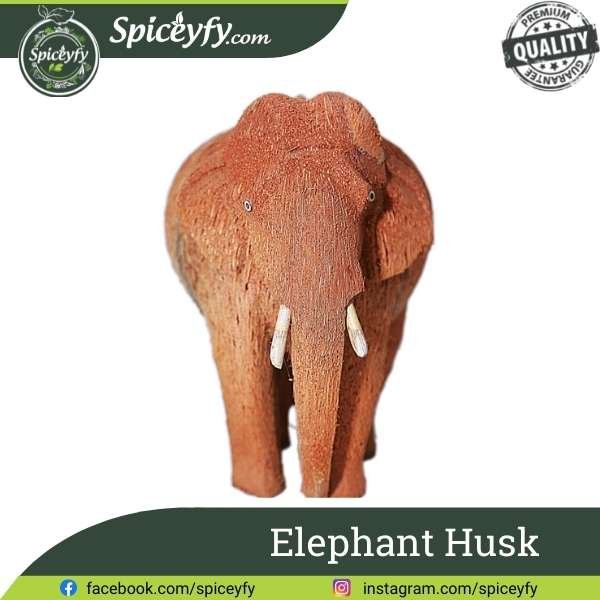 Elephant Husk