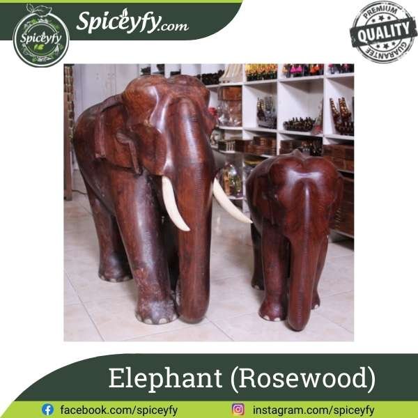 Elephant Rosewood 2