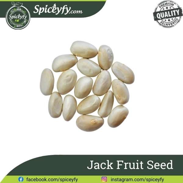 Jack Fruit Seed
