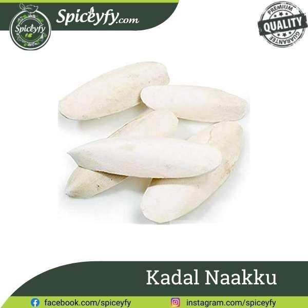 Kadal Nakku/Samudri Jhag Cuttlefish Bone Marine Foam