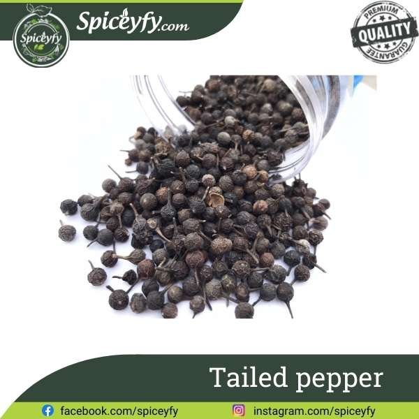 Tailed pepper