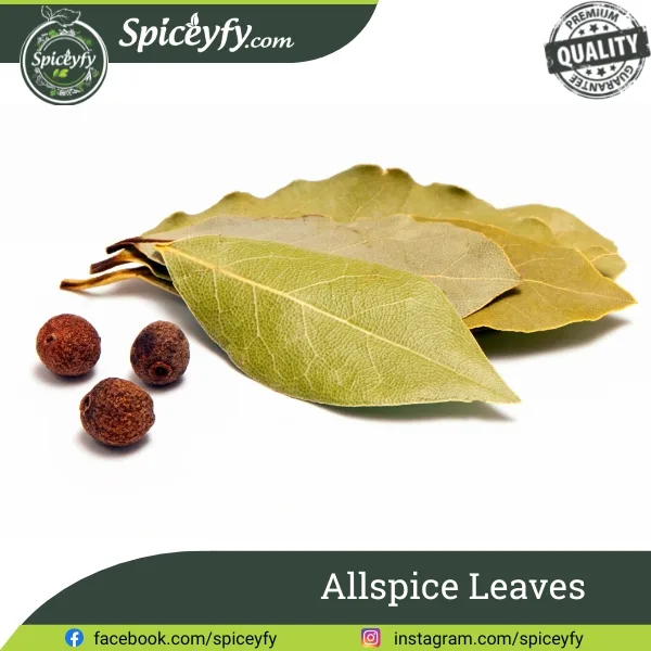 All Spice Leaf  50g